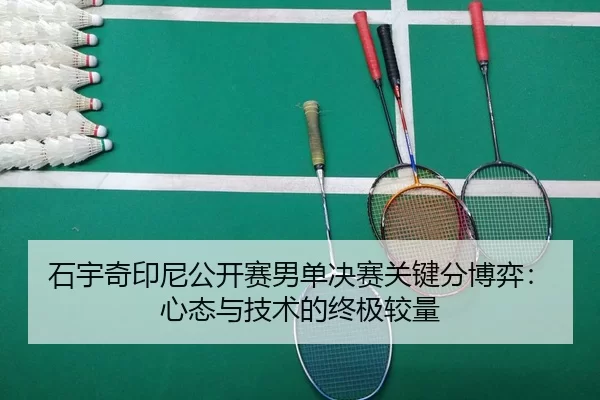 shi-yu-qi-yin-ni-gong-kai-sai-nan-dan-jue-sai-guan-jian-fen-bo-yi-xin-tai-yu-ji-shu-de-zhong-ji-jiao-liang-2-832.jpg