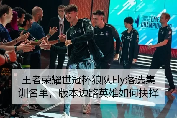 王者荣耀世冠杯狼队Fly落选集训名单，版本边路英雄如何抉择